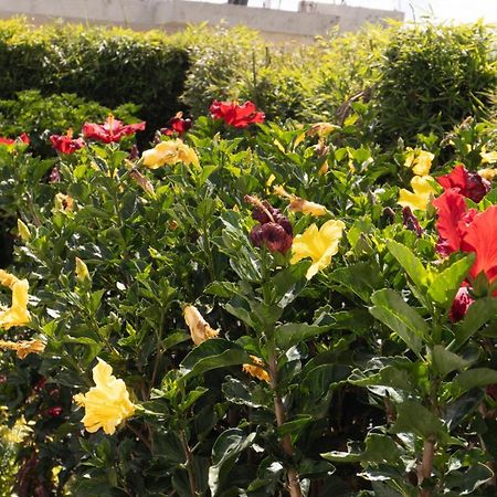Hospedaje El Girasol Tababela Кито Экстерьер фото