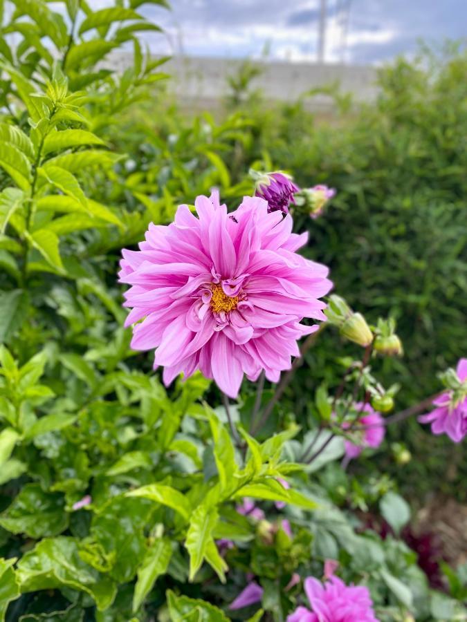 Hospedaje El Girasol Tababela Кито Экстерьер фото